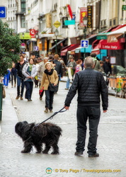 Parisians and their love of dogs